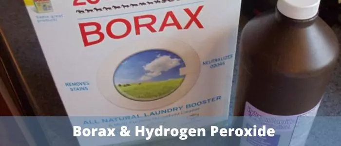 Borax & Hydrogen Peroxide: 
