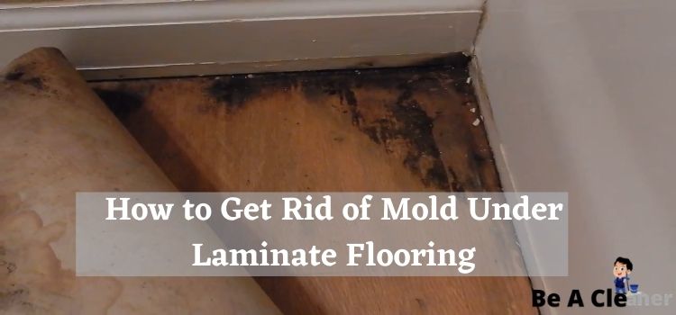 Get Rid Of Mold Under Laminate Flooring, Can Mold Grow Under Hardwood Floors
