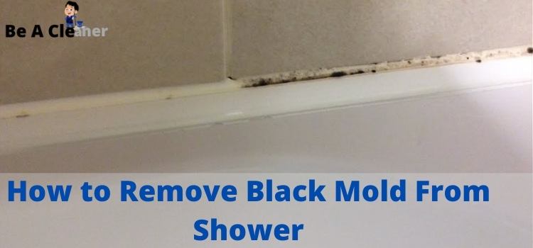 How to Remove Black Mold From Shower