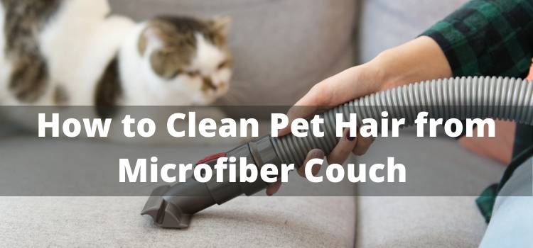 How to Clean Pet Hair from Microfiber Couch