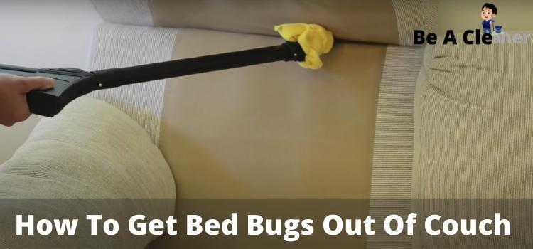 How to get bed bugs out of couch