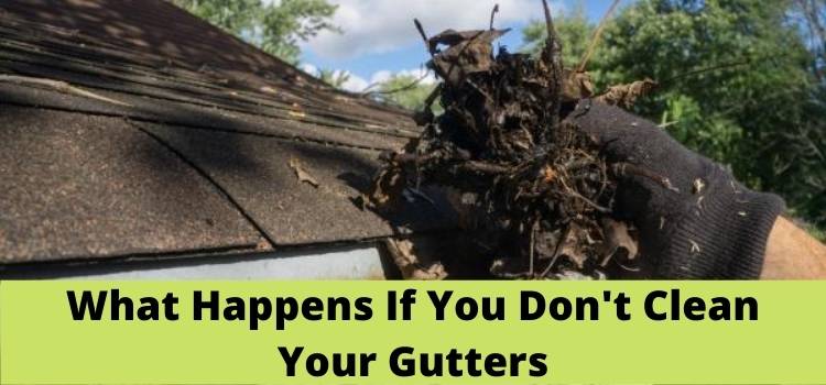 What Happens If You Don't Clean Your Gutters 