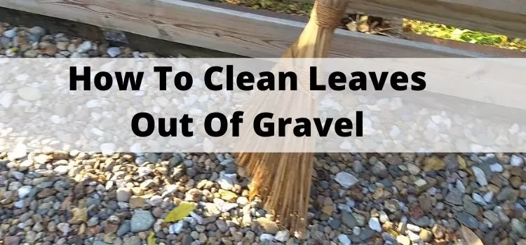 How To Clean Leaves Out Of Gravel