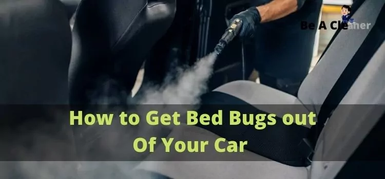 How to Get Bed Bugs out Of Your Car