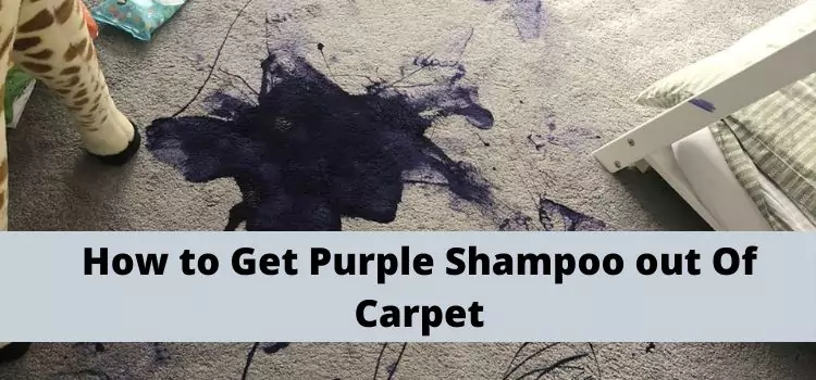 how to get purple shampoo out of carpet