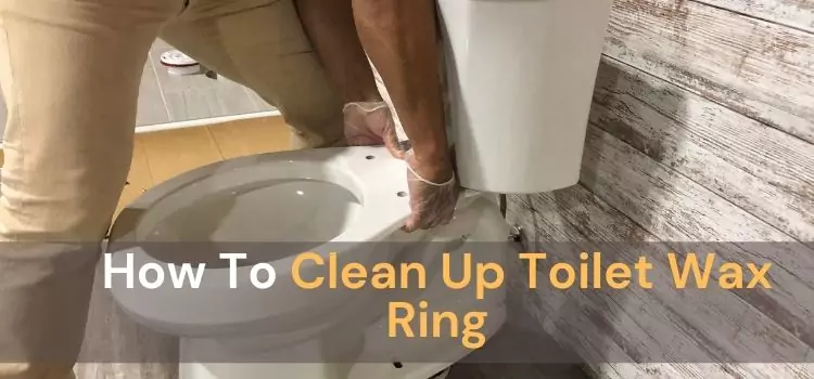 How To Clean Up Toilet Wax Ring
