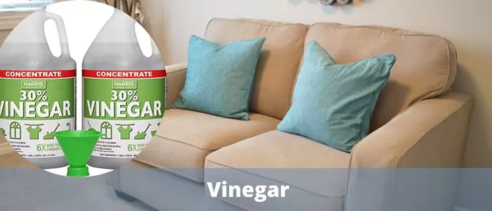 sofa with vinegar