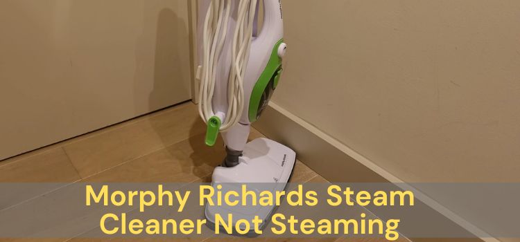 Morphy Richards Steam Cleaner Not Steaming